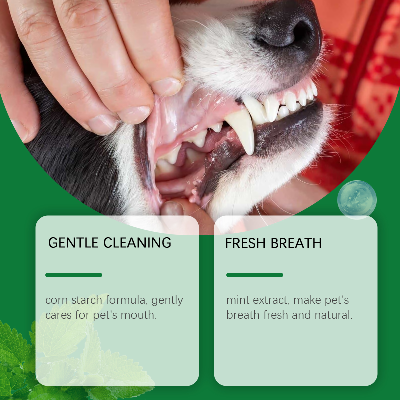 Pet Teeth Cleaning Powder Redu - огляд і ціна Teeth Whitening Quotes