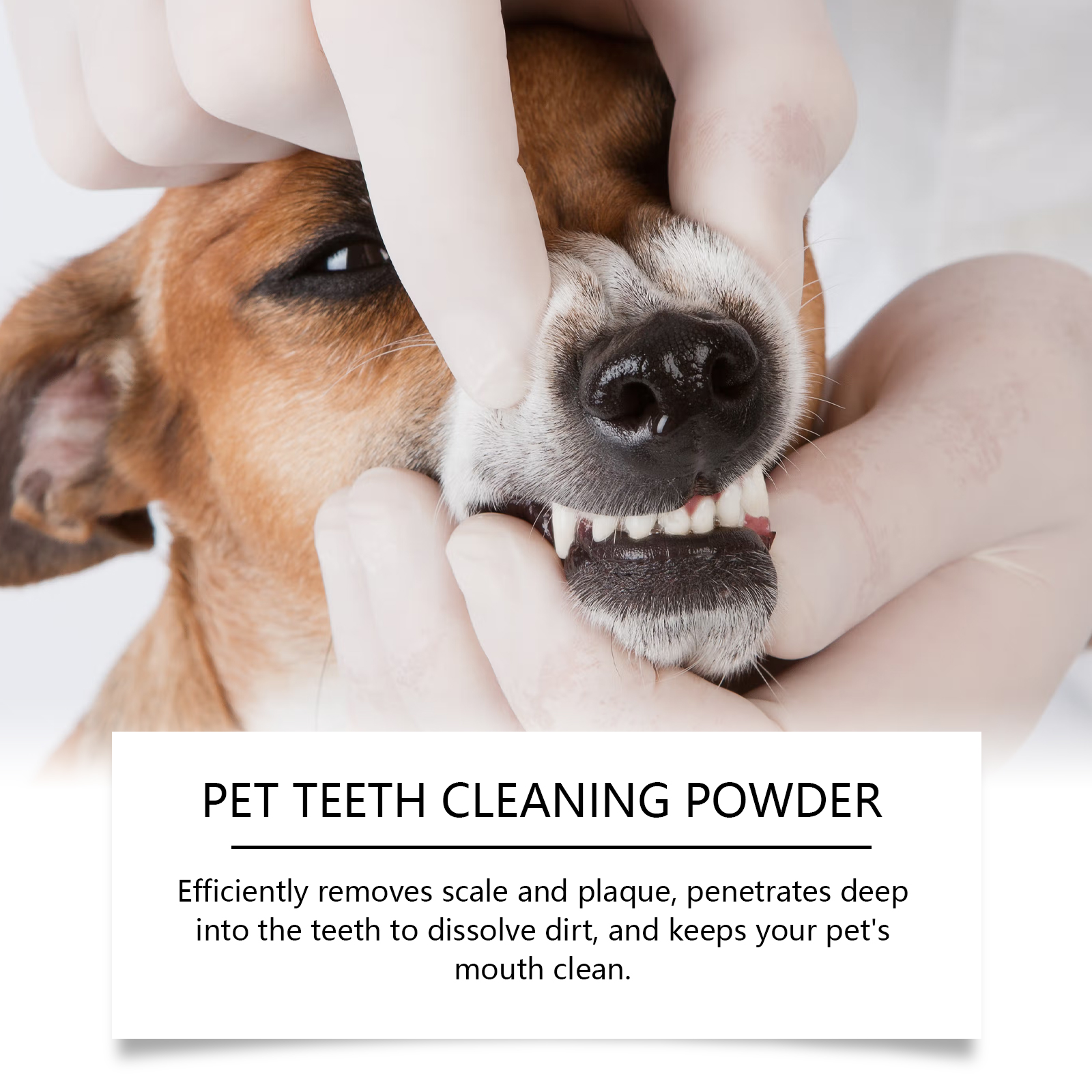 Pet Teeth Cleaning Powder Redu - огляд і ціна Teeth Whitening Quotes